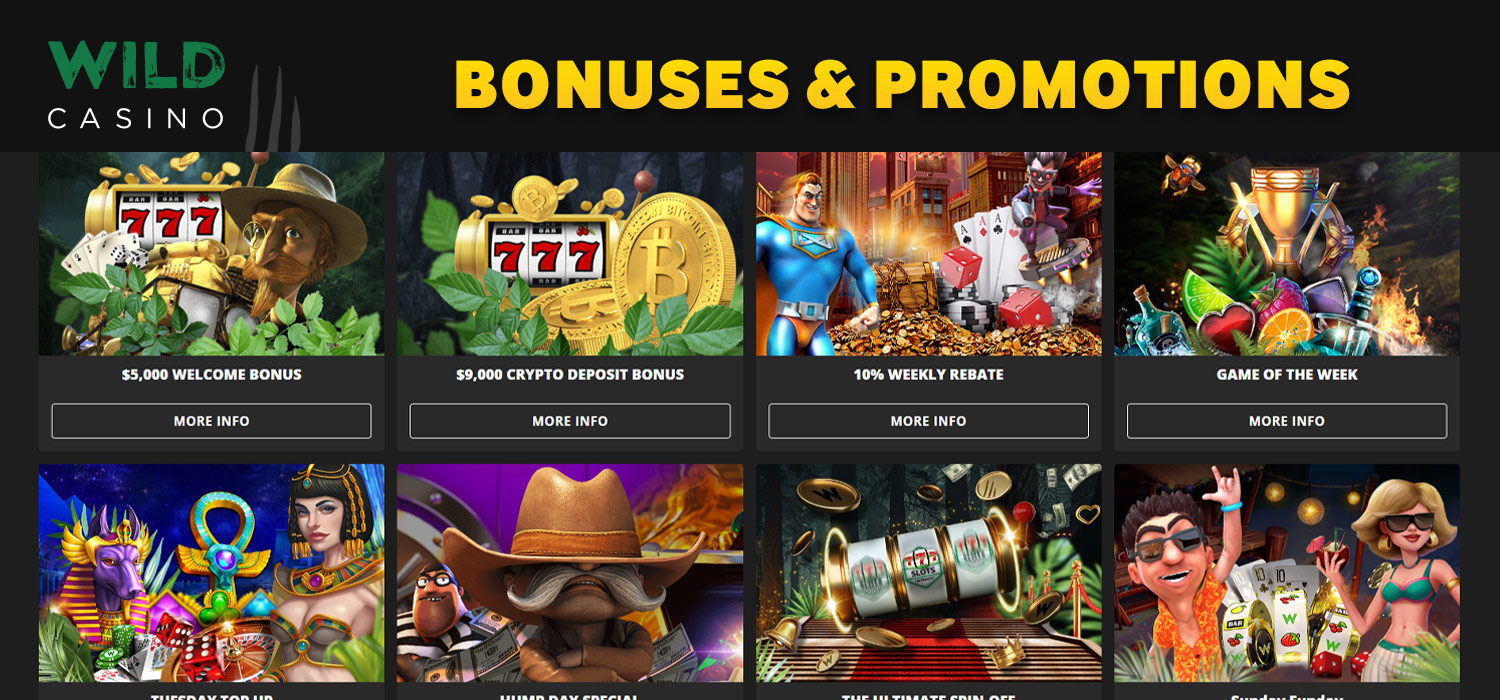 Wild Casino Paly Online Casino Games Get Big Bonus 