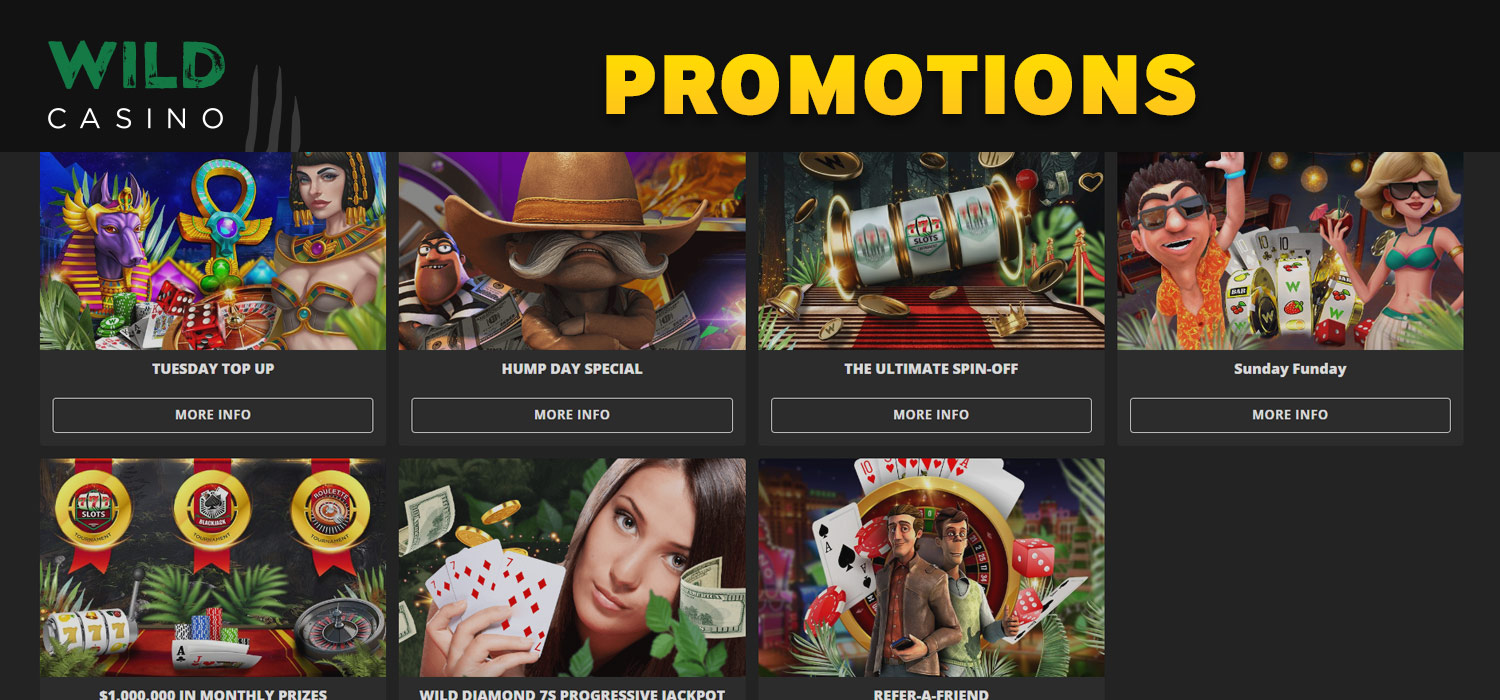 Wild casino promotions