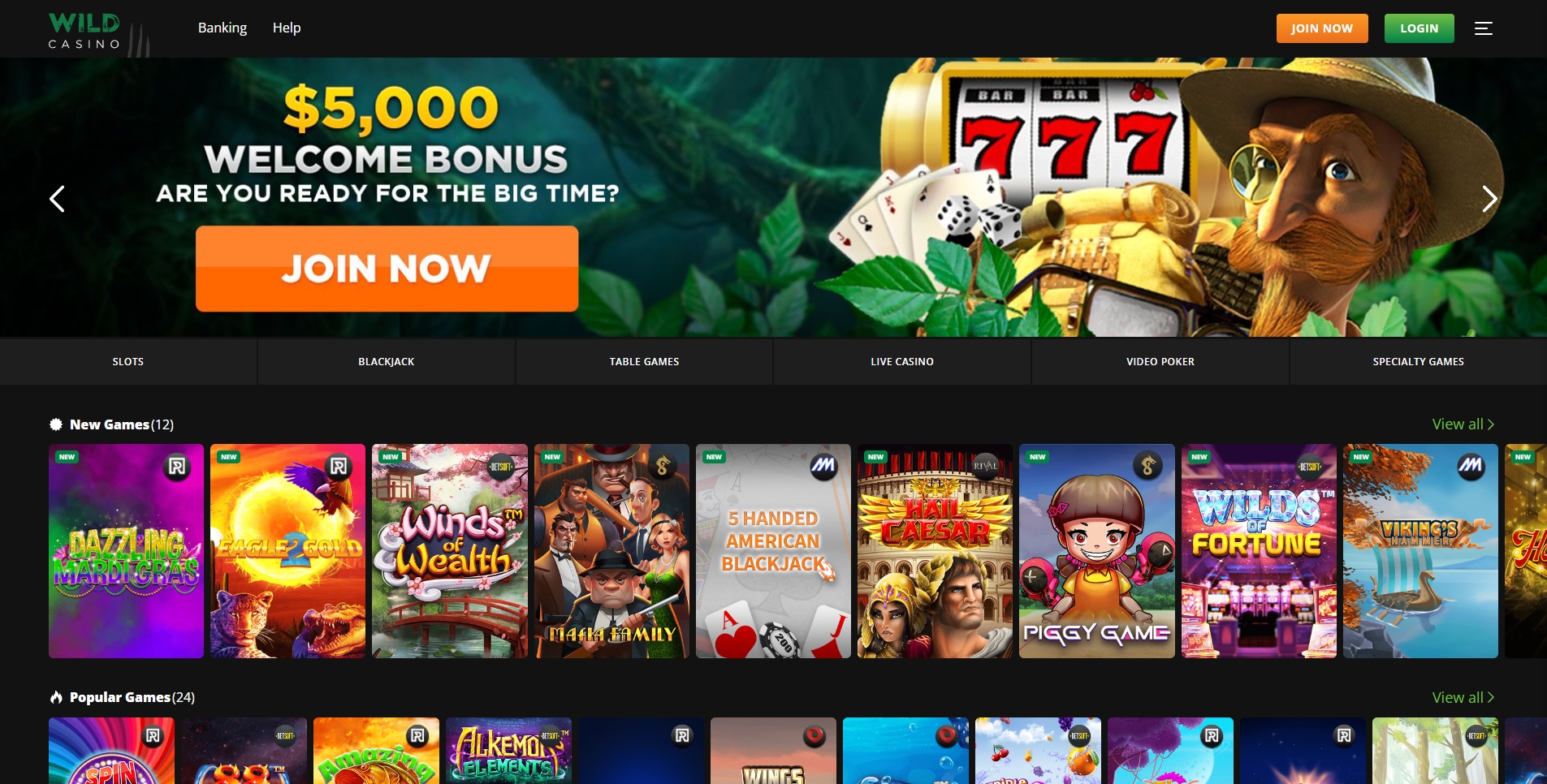 Wild Casino Paly Online Casino Games Get Big Bonus 